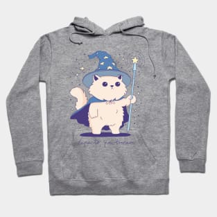 Cat Wizard Hoodie